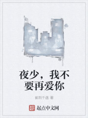 夜少，我不要再爱你